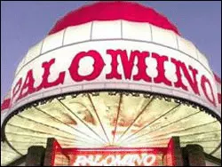 Palomino full nude strip club Las Vegas