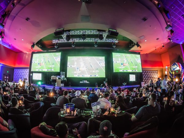 Massive VIP events room at Sapphire, perfect for the big game, UFC, or whatever