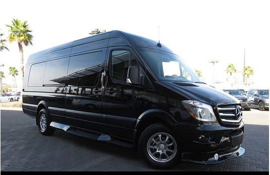 TROUBLEMAKER 14 person Mercedes sprinter party bus