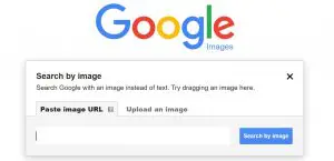 Google reverse image search